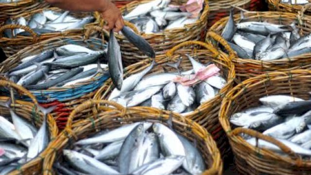 Awal Ramadhan, Perum Perindo Pastikan Harga Ikan Stabil