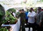 Wali Kota Danny Takjub Melihat Ratusan Bonsai Bernilai Tinggi
