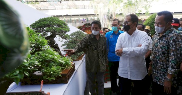 Wali Kota Danny Takjub Melihat Ratusan Bonsai Bernilai Tinggi