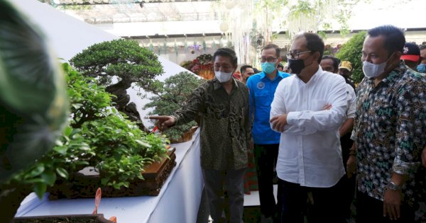 Wali Kota Danny Takjub Melihat Ratusan Bonsai Bernilai Tinggi