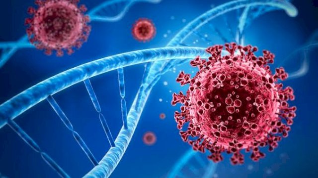 Peneliti Temukan Mutasi Corona India Bisa Hindari Imun Tubuh