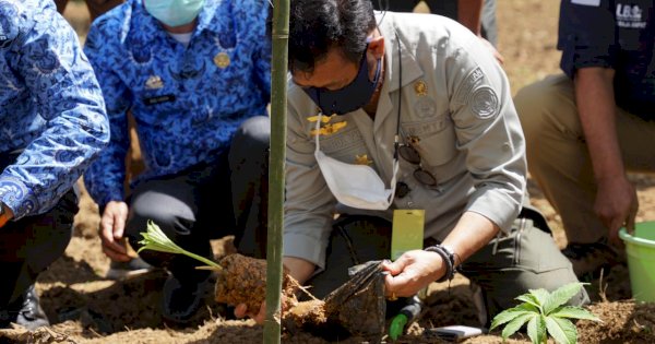 Mentan SYL Dorong Bisnis Porang Rambah Pascapanen dan Industri