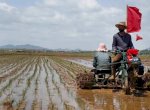 Warga Korea Utara Dilanda Kelaparan