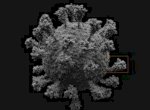 Dibuat dengan Tingkat Kecermatan Atom, Inilah Tampilan 3D Virus Corona
