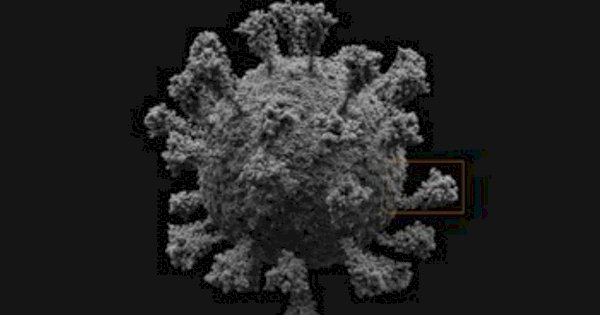 Dibuat dengan Tingkat Kecermatan Atom, Inilah Tampilan 3D Virus Corona