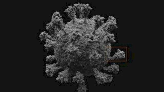 Dibuat dengan Tingkat Kecermatan Atom, Inilah Tampilan 3D Virus Corona