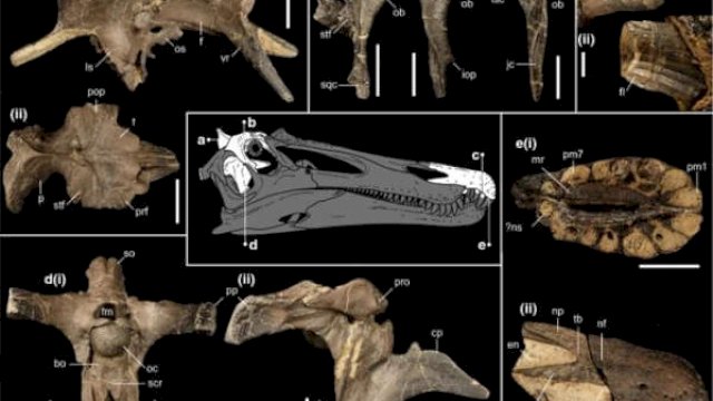 Ilmuwan Temukan Spesies Dinosaurus Berusia 125 Juta Tahun