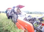 Dukung Alih Fungsi Lahan, Abdul Hayat Panen Perdana Padi Varietas M70D