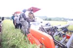 Dukung Alih Fungsi Lahan, Abdul Hayat Panen Perdana Padi Varietas M70D