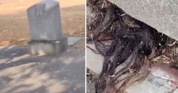 Bikin Merinding, Rambut Panjang Keluar dari Kuburan Tua Berusia 100 Tahun