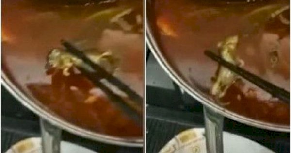 Ibu Hamil Tak Sengaja Makan Sup Tikus, Pihak Resto Minta untuk Gugurkan Kandungan