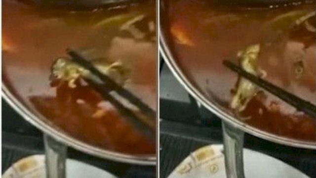 Ibu Hamil Tak Sengaja Makan Sup Tikus, Pihak Resto Minta untuk Gugurkan Kandungan