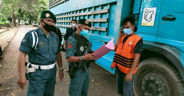 Pelaku Penyelundupan 165 Batang Kayu Ilegal Diamankan Gakkum KLHK