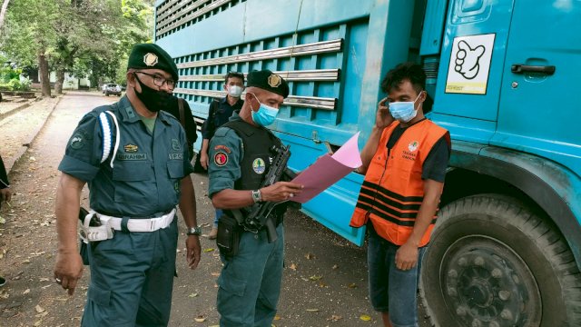 Pelaku Penyelundupan 165 Batang Kayu Ilegal Diamankan Gakkum KLHK