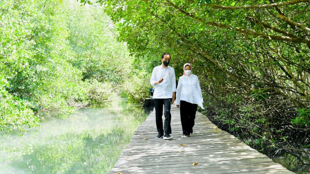 Presiden Jokowi Tinjau Hutan Mangrove di Bali