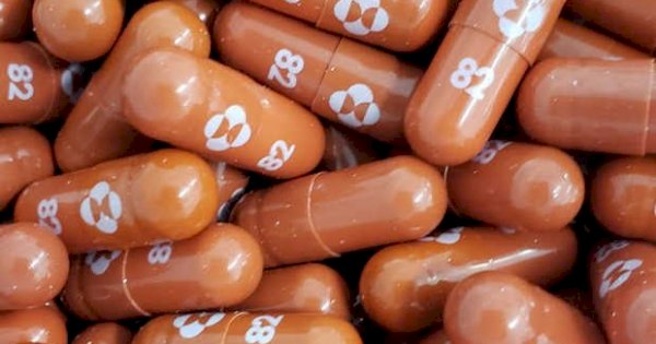 Akhir 2021 Indonesia Kedatangan Obat Covid-19 Molnupiravir