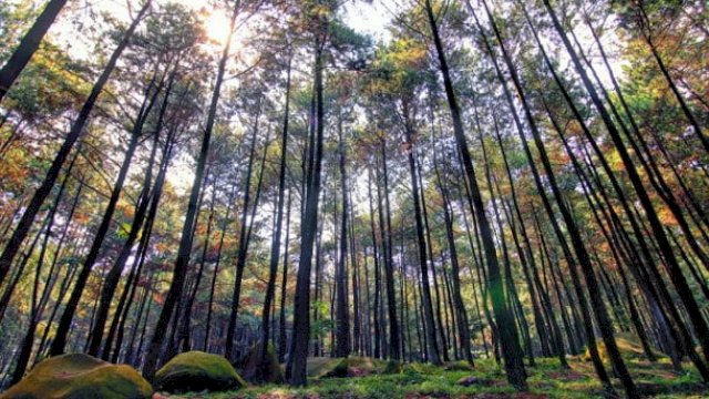 2 Lokasi Wisata di Malino yang Jarang Diketahui