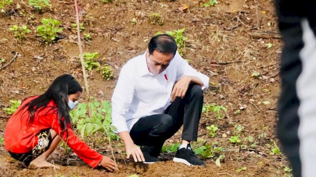 Hari Kedua di NTB, Jokowi Tanam Pohon Bareng Warga Lombok Tengah