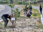 Hijaukan Toraja, 5.000 Pohon Ditanam di Jalan Masuk Bandara Buntu Kunik