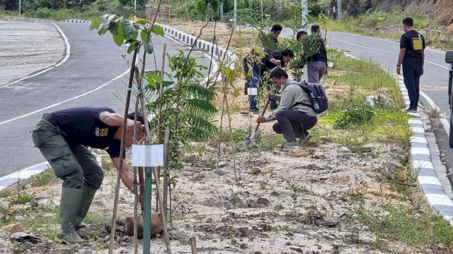 Hijaukan Toraja, 5.000 Pohon Ditanam di Jalan Masuk Bandara Buntu Kunik