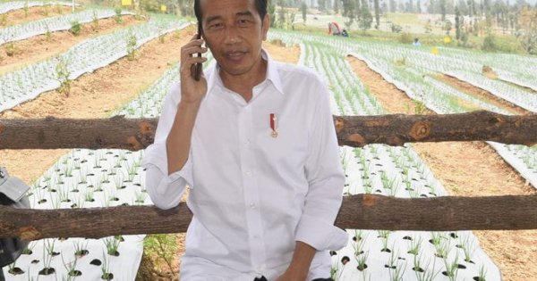 Gegara Impor Bawang Putih Ganggu Petani, Presiden Jokowi Telepon Mendag Lutfi