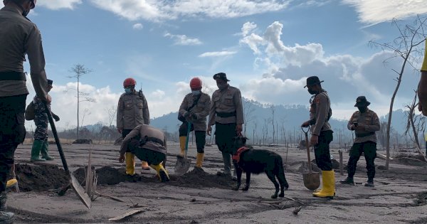 Korban Meninggal Paca Erupsi Gunung Semeru Sudah 43 Orang