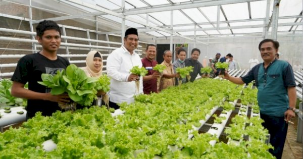 Bupati Maros Chaidir Syam Kunjungi Kebun Hidroponik Milik Petani Milenial