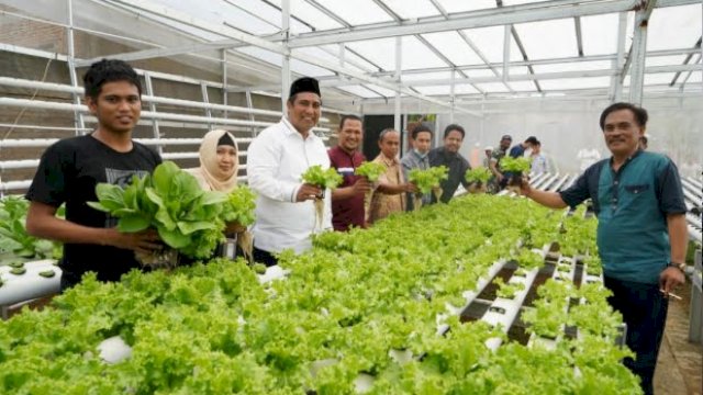 Bupati Maros Chaidir Syam Kunjungi Kebun Hidroponik Milik Petani Milenial