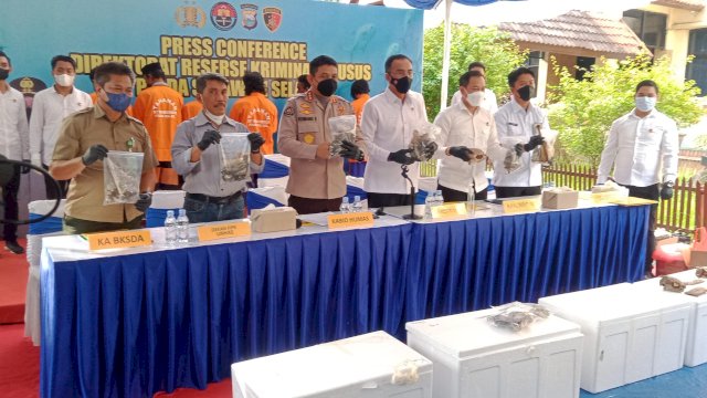 Dirkrimsus Polda Sulsel bersama pihak Unhas, BKSDA, hingga pihak Kementerian Perikanan dan Kelautan di Mapolda Sulsel saat sesi press converence terkait penangkapan pelaku eksploitasi penyu hijau, (10/1/2022). Foto: Redaksi Abatanews