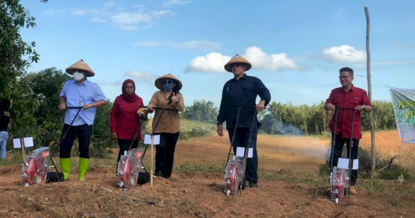 Dirut RNI Minta BULS Suplai Kebutuhan Daging Sapi di KTI