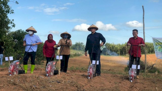 Dirut RNI Minta BULS Suplai Kebutuhan Daging Sapi di KTI