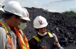 Pemerintah Minta Ekspor Batu Bara Dihentikan Sementara  