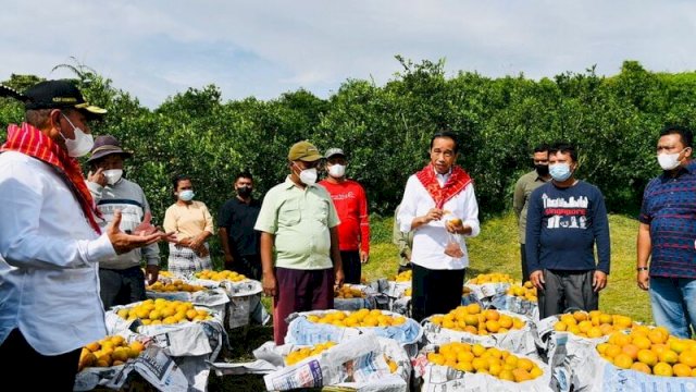 Presiden Jokowi Menelpon Mentan Saat di Kampung Jeruk Karo. (Foto: Sekretariat Kabinet)