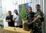 Temuan Dugaan Tanaman Ganja, Sat Narkoba Resor Gowa Bawa BB ke Labfor