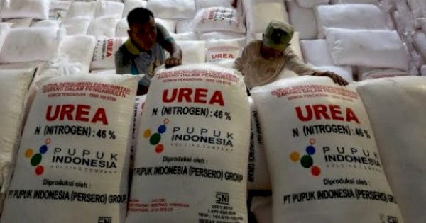 Pemprov Sulsel Pastikan Distribusi Pupuk Subsidi Aman di Musim Tanam 