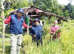17 Tahun tak Ada Aktivitas Budidaya Padi, Warga Salubomban Kembali Nikmati Panen