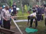 Warga Toraja Temukan Potongan Tubuh Bayi yang Dimakan Anjing 