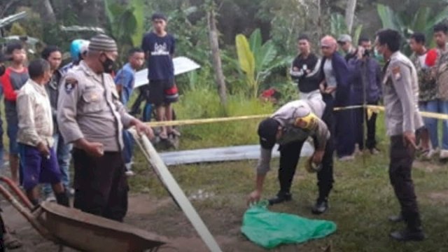 Warga Toraja Temukan Potongan Tubuh Bayi yang Dimakan Anjing 