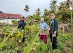 Kementan Dorong Pemanfaatan Lahan Pekarangan di Luwu Utara