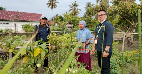 Kementan Dorong Pemanfaatan Lahan Pekarangan di Luwu Utara