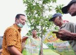 Produksi Pertanian Naik, Pengamat Puji Mandiri Benih Gubernur Andi Sudirman