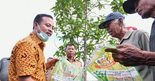 Produksi Pertanian Naik, Pengamat Puji Mandiri Benih Gubernur Andi Sudirman