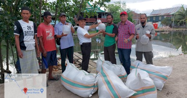 DKP Sulsel Salurkan Bantuan Benih Udang di Kabupaten Maros