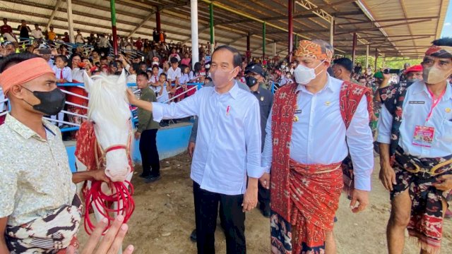 Usai mengunjungi pabrik sorgum, Kamis (02/06/2022), Presiden Jokowi dan Ibu Iriana Joko Widodo menyaksikan ekshibisi balap pacuan kuda. (Foto: Setpres) 