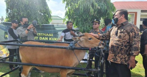 Pemprov Sulsel Bakal Ganti Rugi Hewan Ternak yang Disembelih Akibat PMK