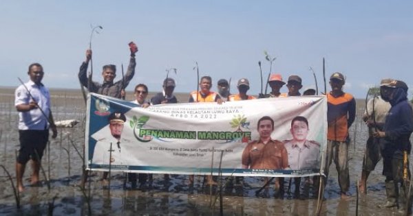 Pemprov Sulsel Tanam 38 Ribu Batang Mangrove di Luwu Timur 