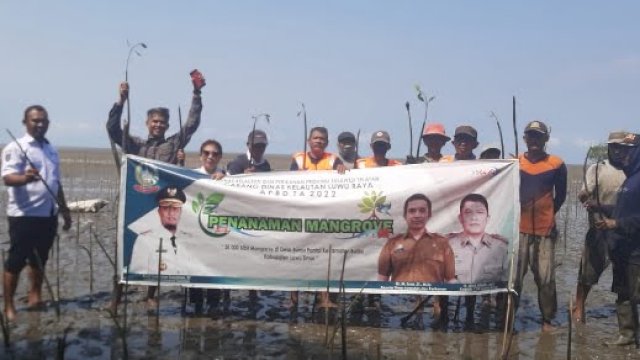 Pemprov Sulsel menanam 38 ribu bibit pohon Mangrove di Luwu Timur. (foto: Pemprov Sulsel)