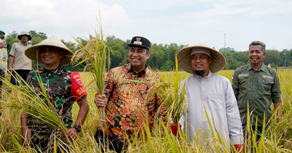 Bupati Maros Akui Sangat Terbantu Lewat Program &#8216;Mandiri Benih&#8217; Pemprov Sulsel