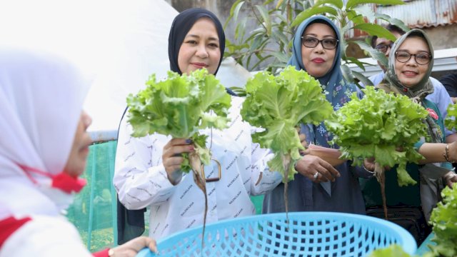 Wakil Wali Kota Makassar, Fatmawati Rusdi saat mengunjungi Lorong Wisata (Longwis). Kali ini kunjungannya dipusatkan di Kelurahan Barabaraya, Kecamatan Makassar, Sabtu (20/8).