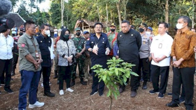 Menteri Pertanian (Mentan) Syahrul Yasin Limpo saat melakukan peninjauan lokasi penanaman kelapa genjah sebar di Desa Sanggang, Kecamatan Bulu, Sukoharjo, Jawa Tengah, Jumat (5/8/2022). (foto: Ig/ @syasinlimpo)